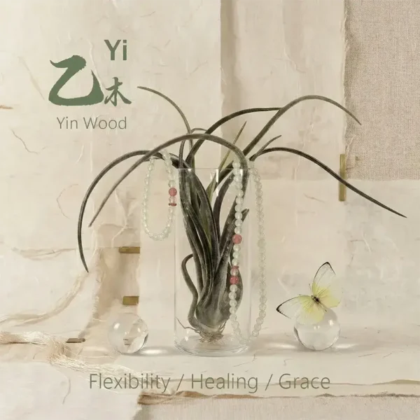 Tao Zenith Yi Yin Wood Bazi crystal bracelet, embodying the spirit of flexibility, healing, and grace.