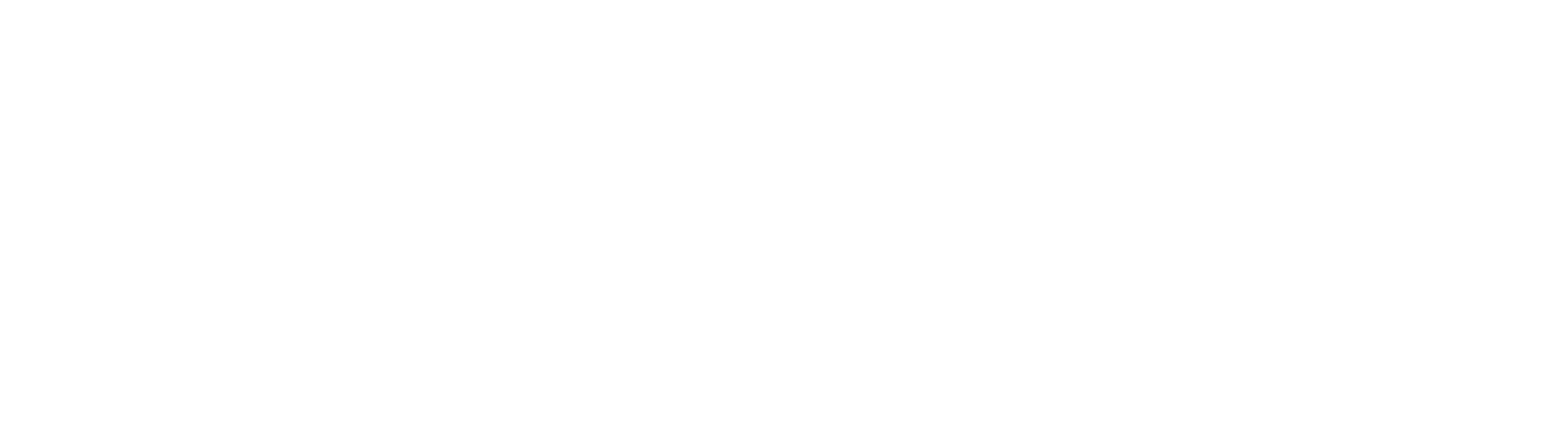 Tao Zenith official brand logo, representing authentic Chinese metaphysics and mindful aesthetics.